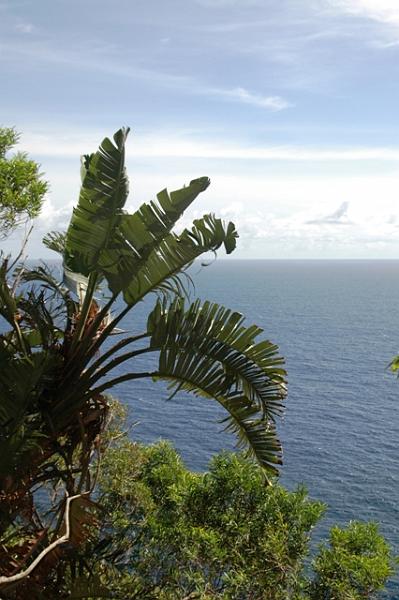 229_USA_Hawaii_Maui_The_Road_to_Hana.JPG
