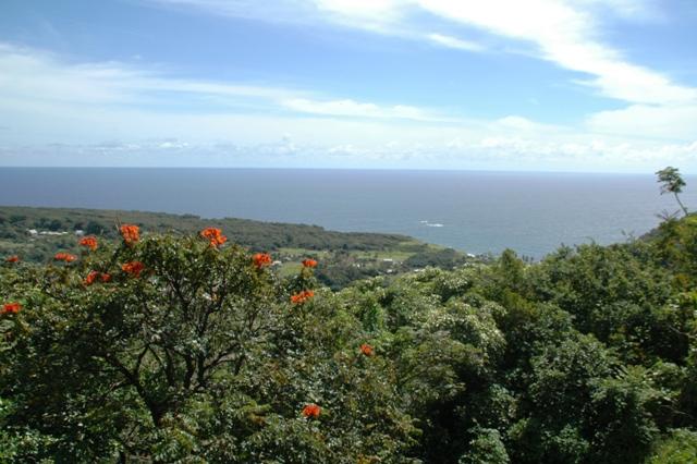 237_USA_Hawaii_Maui_The_Road_to_Hana.JPG