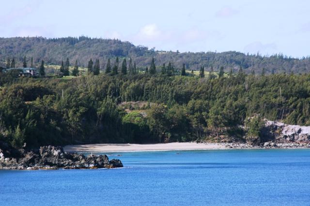 273_USA_Hawaii_Maui_North_Shore_Route_340.JPG