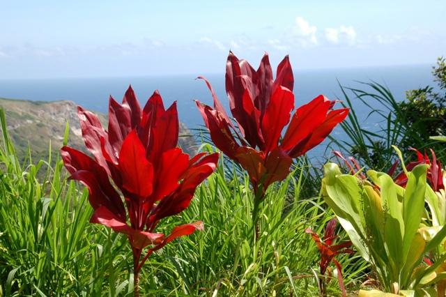 292_USA_Hawaii_Maui_North_Shore_Route__340.JPG