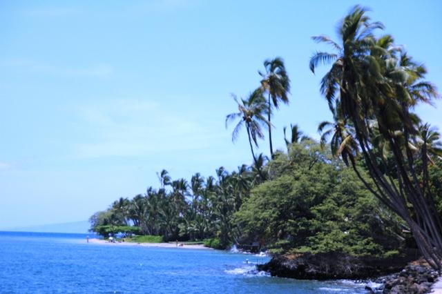 297_USA_Hawaii_Maui_Maalaea_Bay.JPG