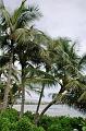 015_USA_Hawaii_Oahu_Makaha_Unterkunft