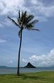 139_USA_Hawaii_Oahu_Kualoa