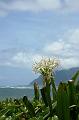 145_USA_Hawaii_Oahu