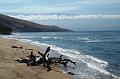 206_USA_Hawaii_Maui