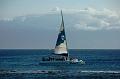 223_USA_Hawaii_Maui_Kapalua