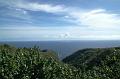227_USA_Hawaii_Maui_The_Road_to_Hana