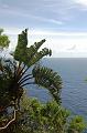 229_USA_Hawaii_Maui_The_Road_to_Hana
