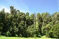 230_USA_Hawaii_Maui_The_Road_to_Hana