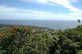 237_USA_Hawaii_Maui_The_Road_to_Hana