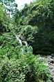 249_USA_Hawaii_Maui_The_Road_to_Hana