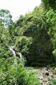 252_USA_Hawaii_Maui_The_Road_to_Hana