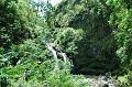 253_USA_Hawaii_Maui_The_Road_to_Hana
