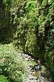 255_USA_Hawaii_Maui_The_Road_to_Hana