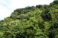 256_USA_Hawaii_Maui_The_Road_to_Hana