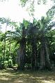 261_USA_Hawaii_Maui_The_Road_to_Hana