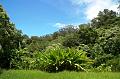 263_USA_Hawaii_Maui_The_Road_to_Hana