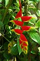 265_USA_Hawaii_Maui_The_Road_to_Hana