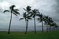 50_USA_Hawaii_Oahu_Waianae