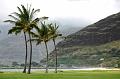 53_USA_Hawaii_Oahu_Waianae
