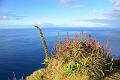 007_Portugal_Madeira