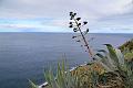 020_Portugal_Madeira