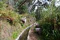 034_Portugal_Madeira