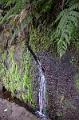 050_Portugal_Madeira