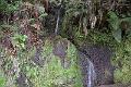 051_Portugal_Madeira