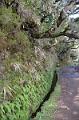 062_Portugal_Madeira