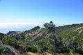 156_Portugal_Madeira