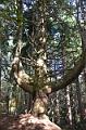 166_Portugal_Madeira