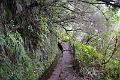 168_Portugal_Madeira