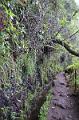 171_Portugal_Madeira