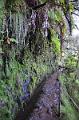 172_Portugal_Madeira