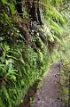 177_Portugal_Madeira