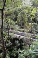 185_Portugal_Madeira