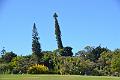 247_Portugal_Madeira_Funchal