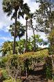261_Portugal_Madeira_Funchal_Botanical_Garden