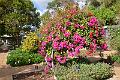 263_Portugal_Madeira_Funchal_Botanical_Garden