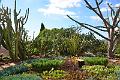 268_Portugal_Madeira_Funchal_Botanical_Garden