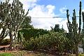 271_Portugal_Madeira_Funchal_Botanical_Garden