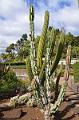 272_Portugal_Madeira_Funchal_Botanical_Garden