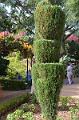 275_Portugal_Madeira_Funchal_Botanical_Garden