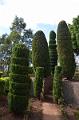 276_Portugal_Madeira_Funchal_Botanical_Garden