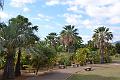 277_Portugal_Madeira_Funchal_Botanical_Garden