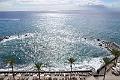306_Portugal_Madeira_Saccharum