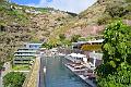 313_Portugal_Madeira_Saccharum