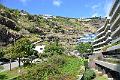 315_Portugal_Madeira_Saccharum