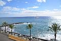 317_Portugal_Madeira_Saccharum
